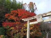 田神社.jpg