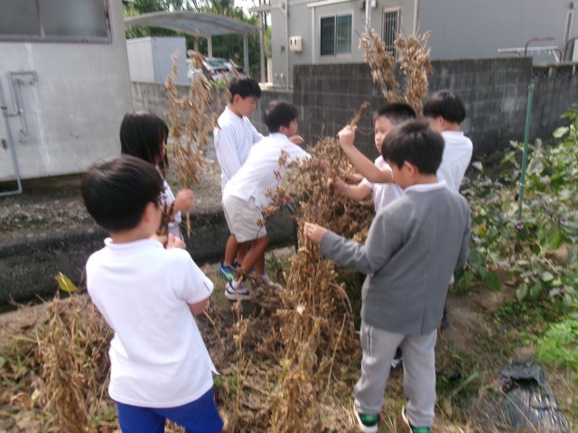 https://tsuyama.schoolweb.ne.jp/3310010/blog_img/54271745?tm=20241018135901