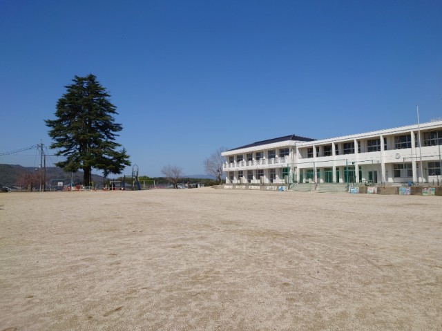 1000017671.jpg