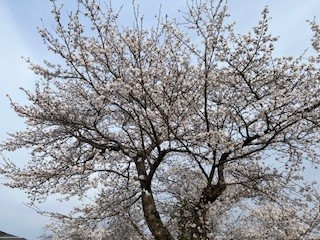 IMG_0873.jpg