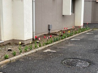 IMG_0890.jpg