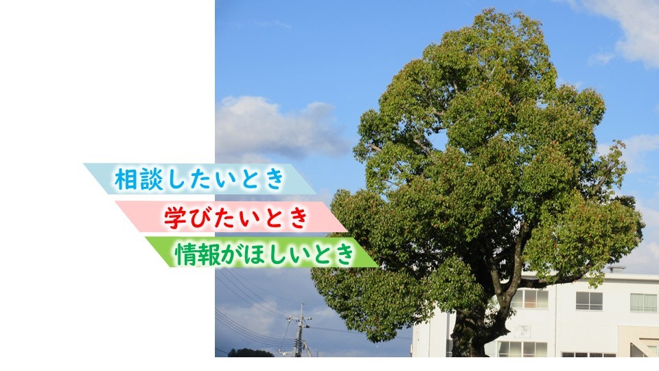 ホームページ画像.jpg